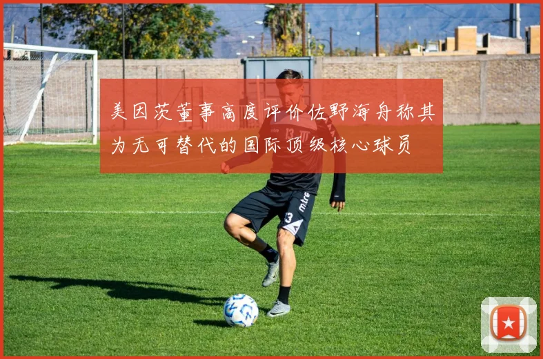 美因茨董事高度评价佐野海舟称其为无可替代的国际顶级核心球员