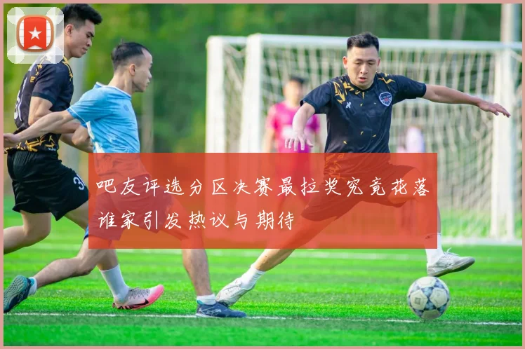 吧友评选分区决赛最拉奖究竟花落谁家引发热议与期待